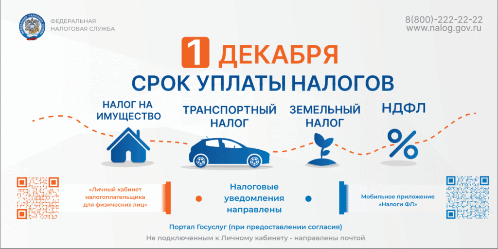 Оплата налогов 2025